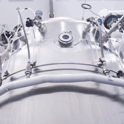 Sable Fermentation 1
